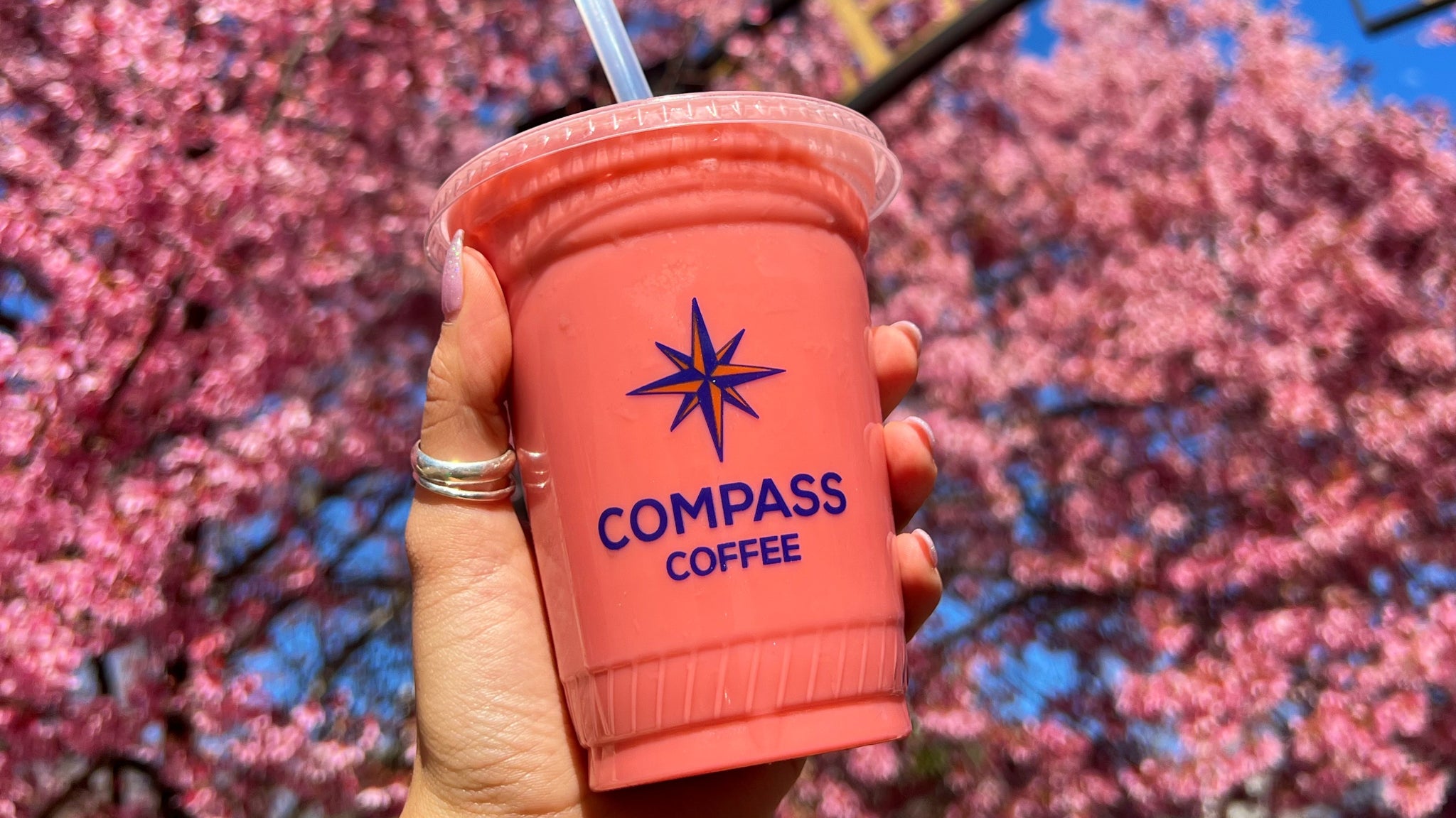 celebrate-the-spirit-of-spring-with-compass-coffee-s-cherry-blossom-sy